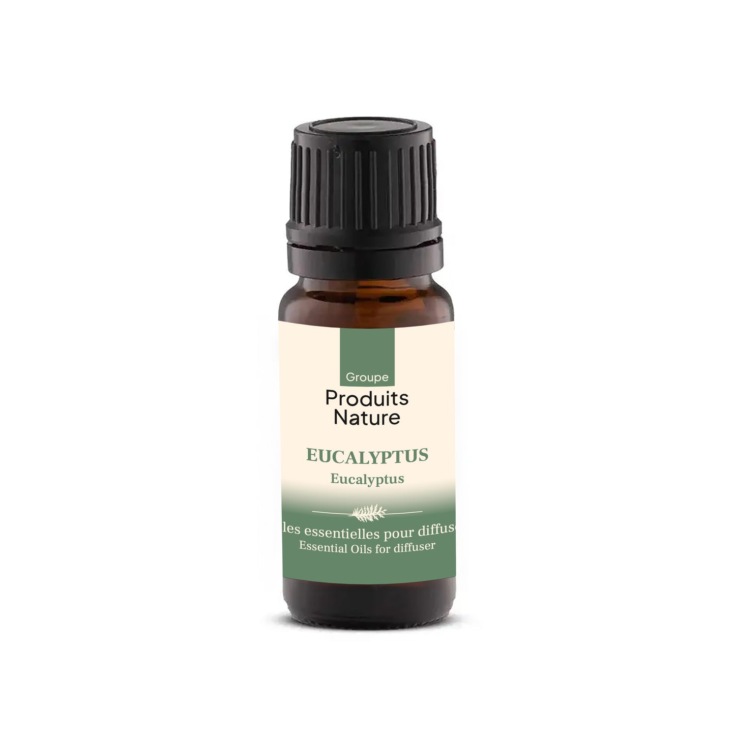 Huile Essentielle Eucalyptus